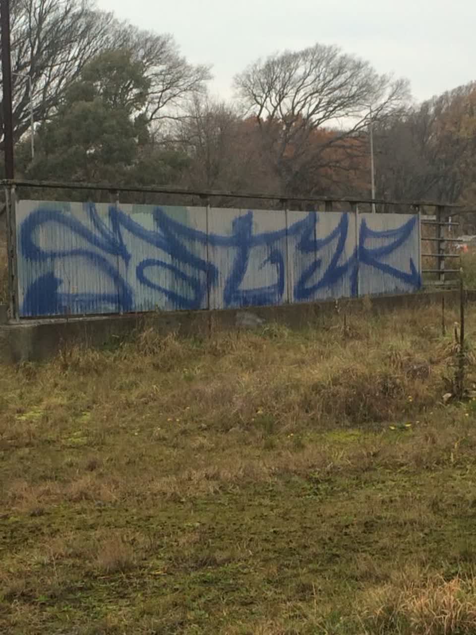 The photograph attached to this graffiti report