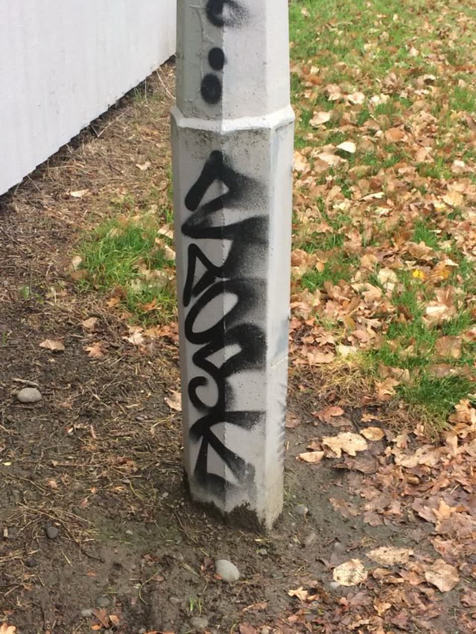 The photograph attached to this graffiti report