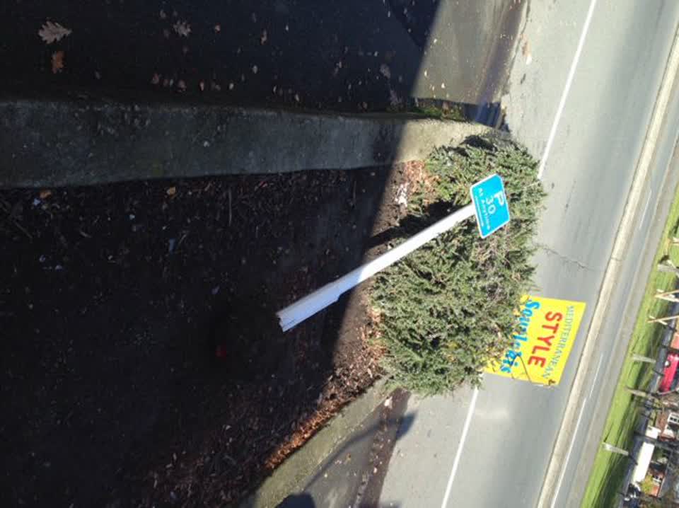 The photograph attached to this roading/streets report