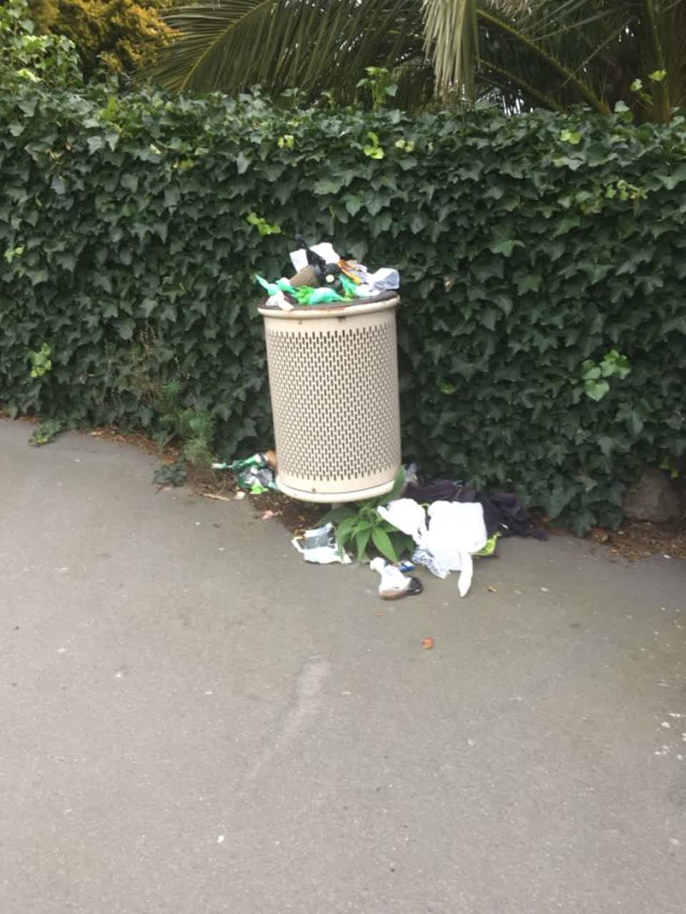 The photograph attached to this rubbish/recycling report