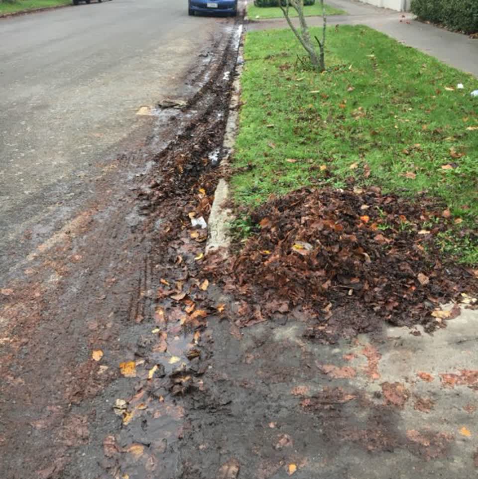 The photograph attached to this roading/streets report