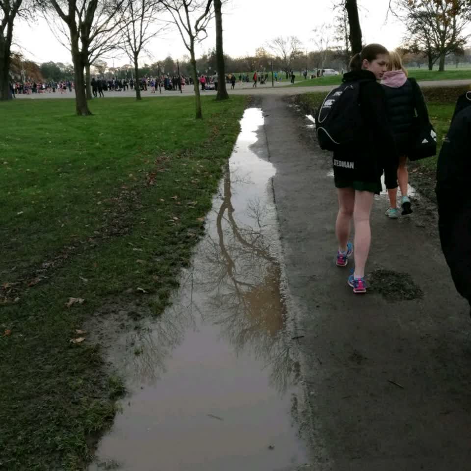 The photograph attached to this parks report