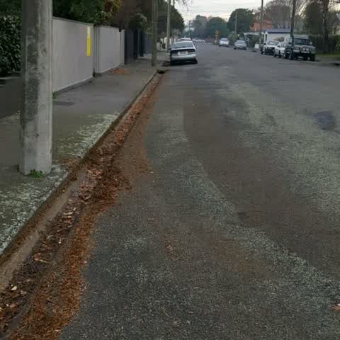 Roading/Streets, a report photo