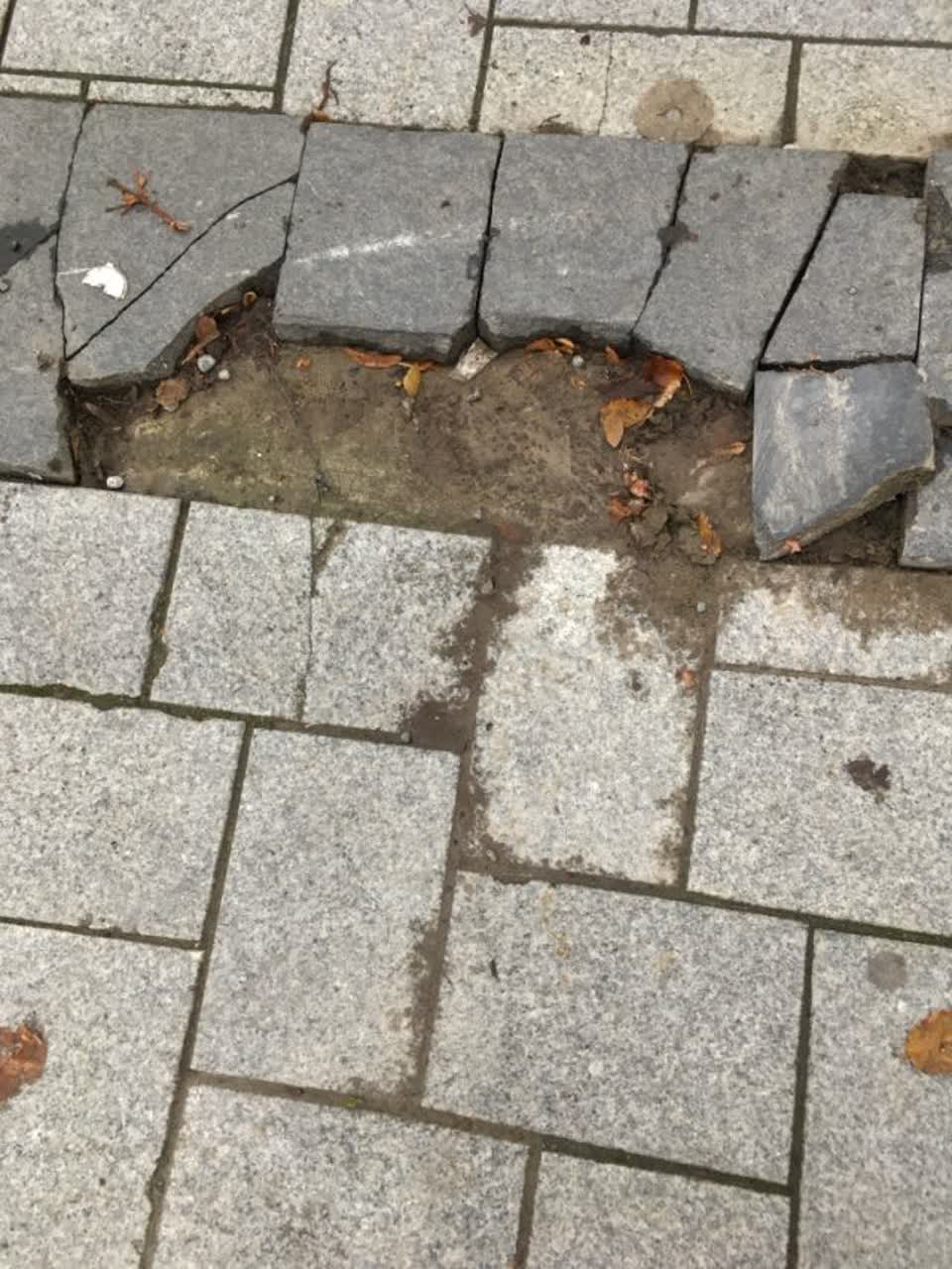 The photograph attached to this roading/streets report