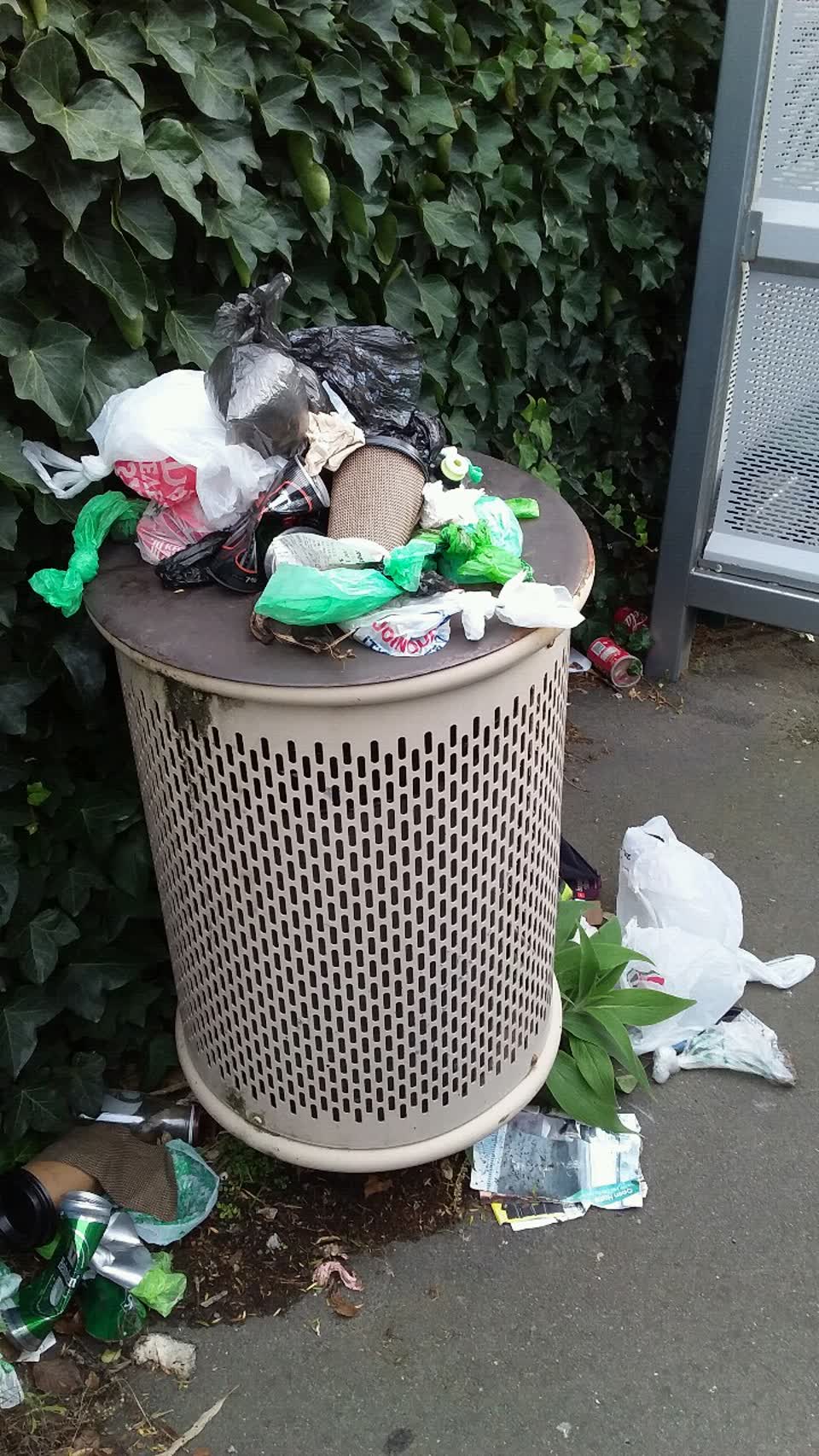 The photograph attached to this rubbish/recycling report
