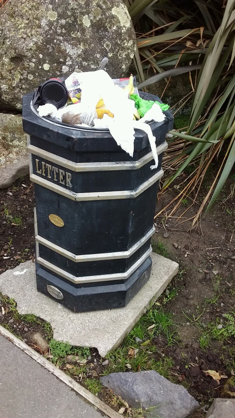The photograph attached to this rubbish/recycling report
