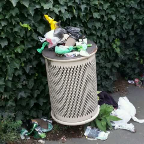 Rubbish/Recycling, a report photo