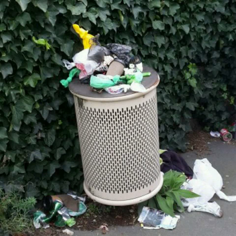 The photograph attached to this rubbish/recycling report