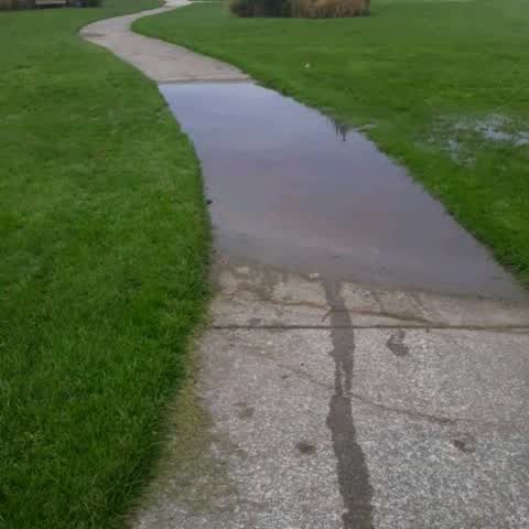 Flooding, a report photo