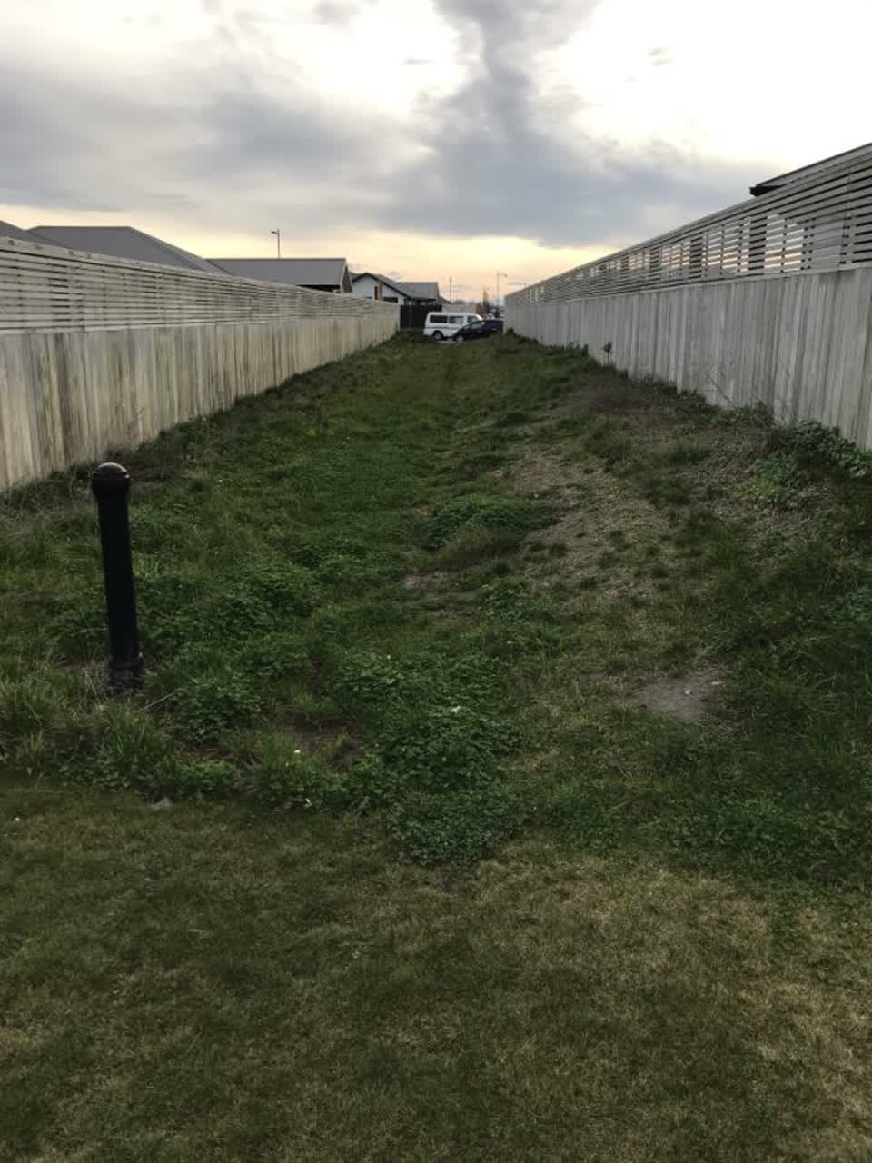 The photograph attached to this parks report