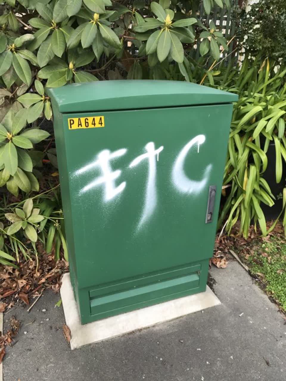 The photograph attached to this graffiti report