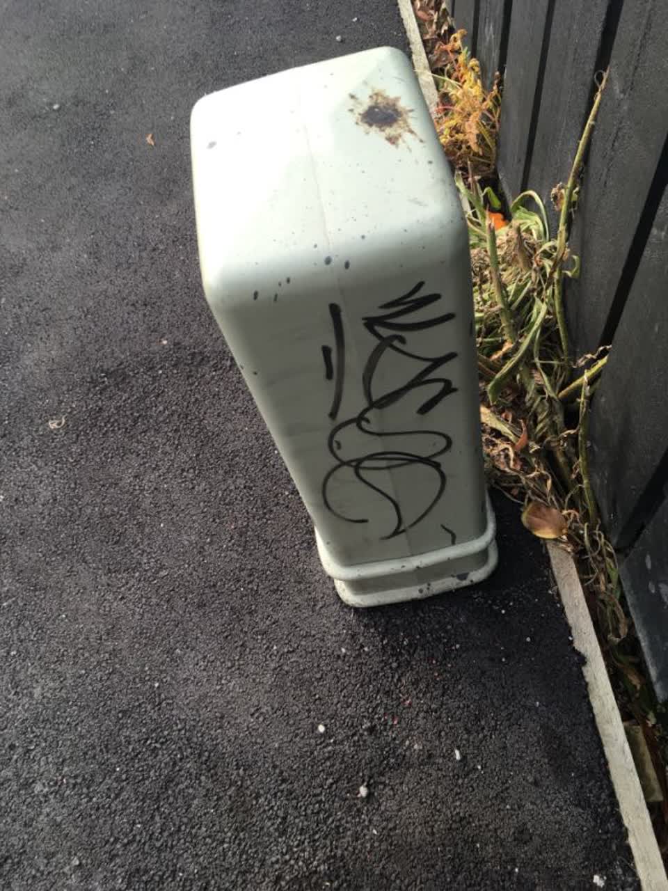 The photograph attached to this graffiti report