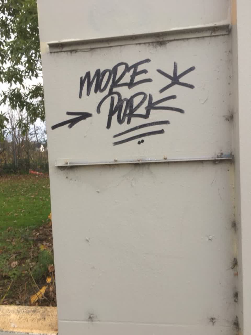 The photograph attached to this graffiti report