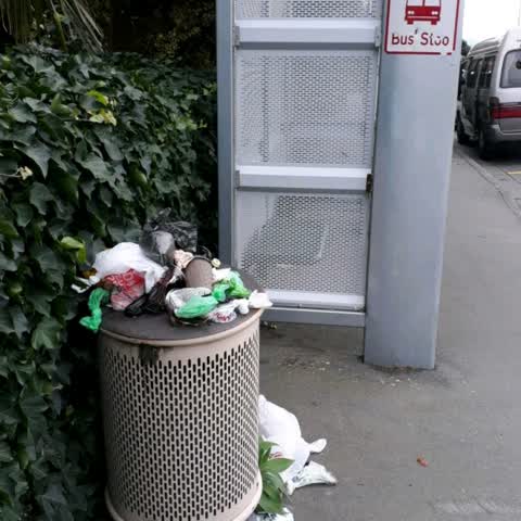 Rubbish/Recycling — a report photo