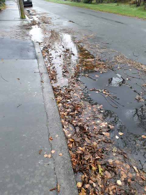 Roading/Streets, a report photo