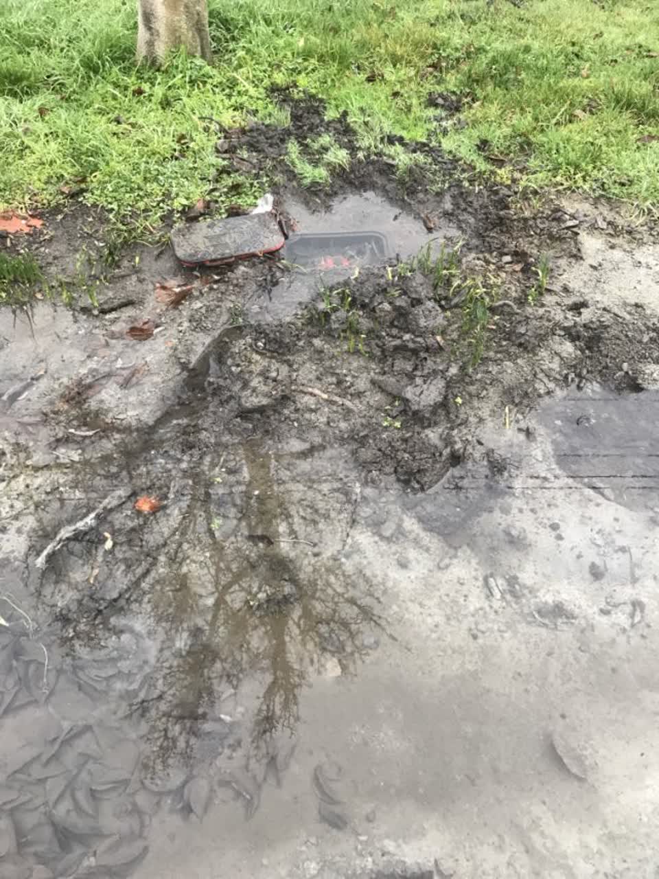 The photograph attached to this water supply report