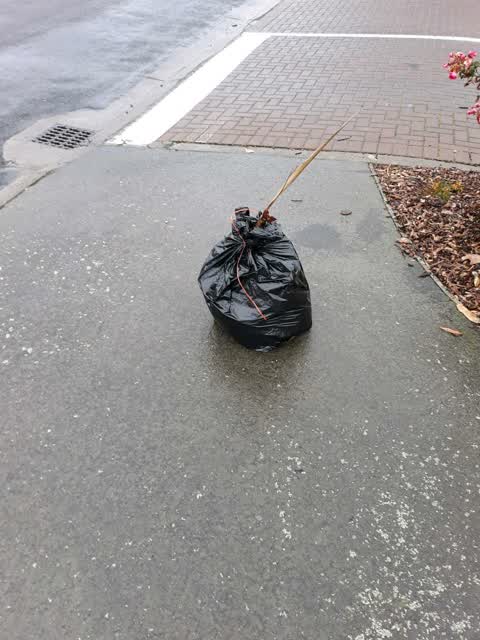 Roading/Streets, a report photo