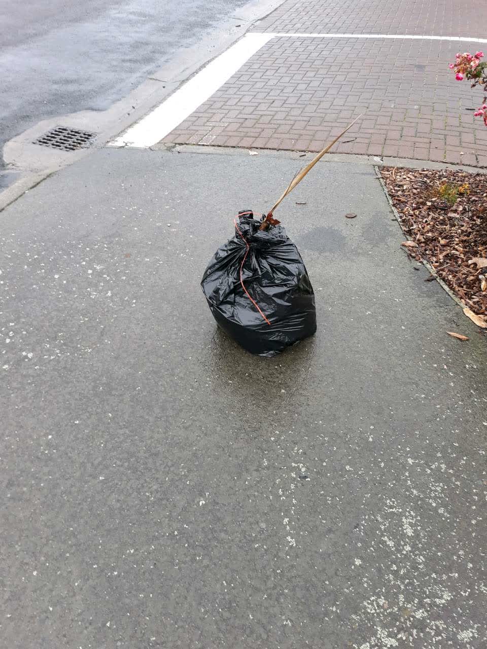 The photograph attached to this roading/streets report