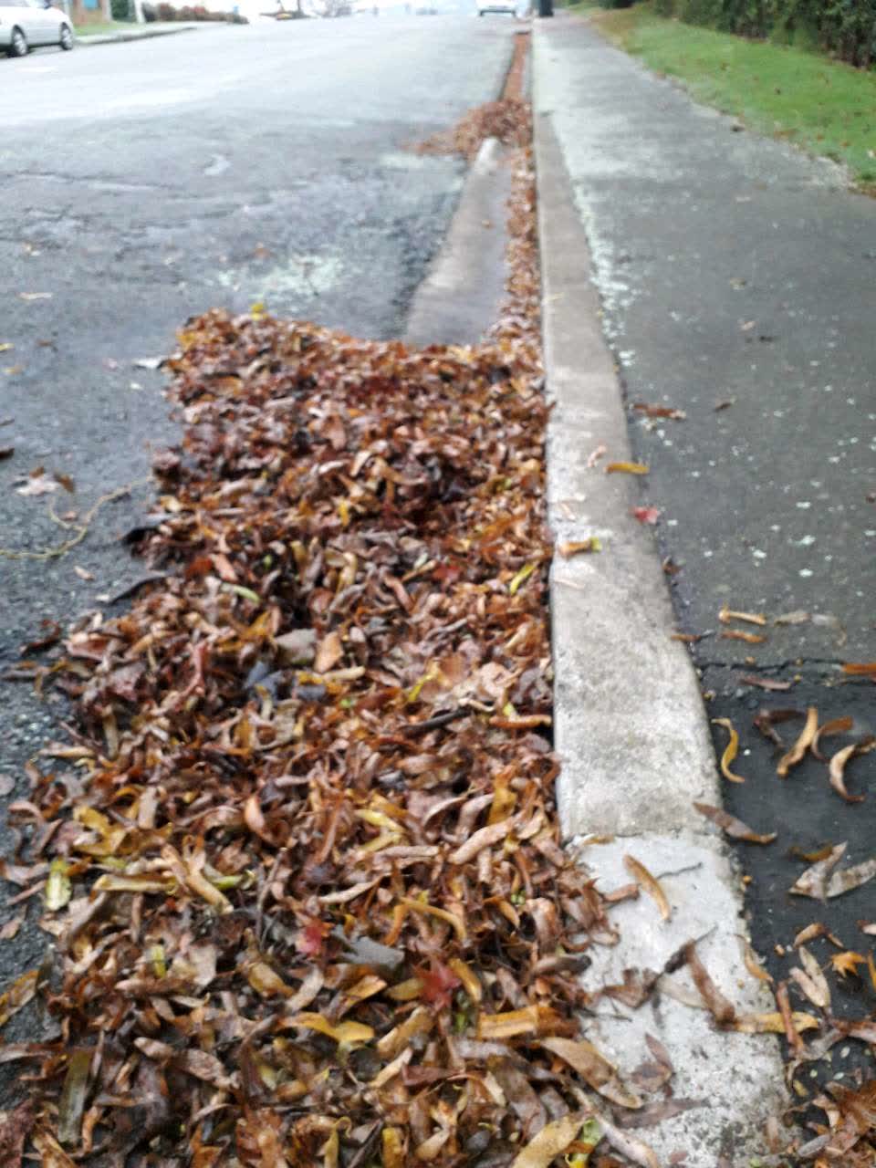 The photograph attached to this flooding report