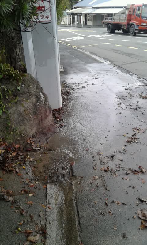 Roading/Streets, a report photo