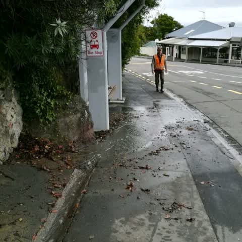 Roading/Streets, a report photo