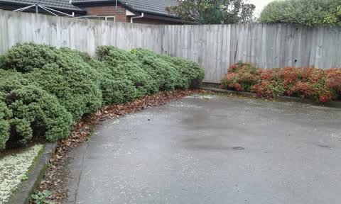 Parks — a report photo