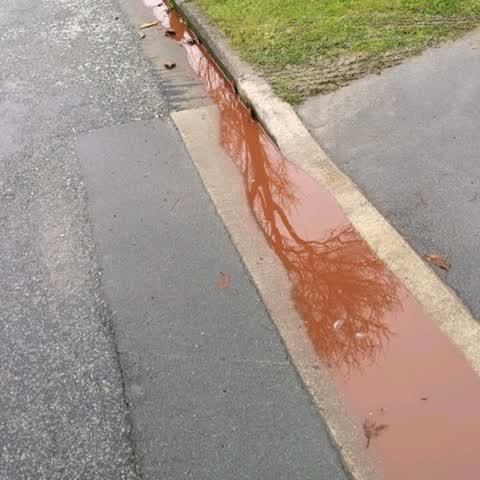 Wastewater/Stormwater, a report photo
