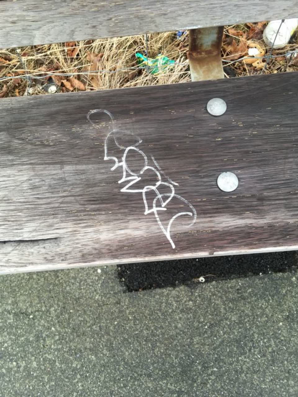 The photograph attached to this graffiti report