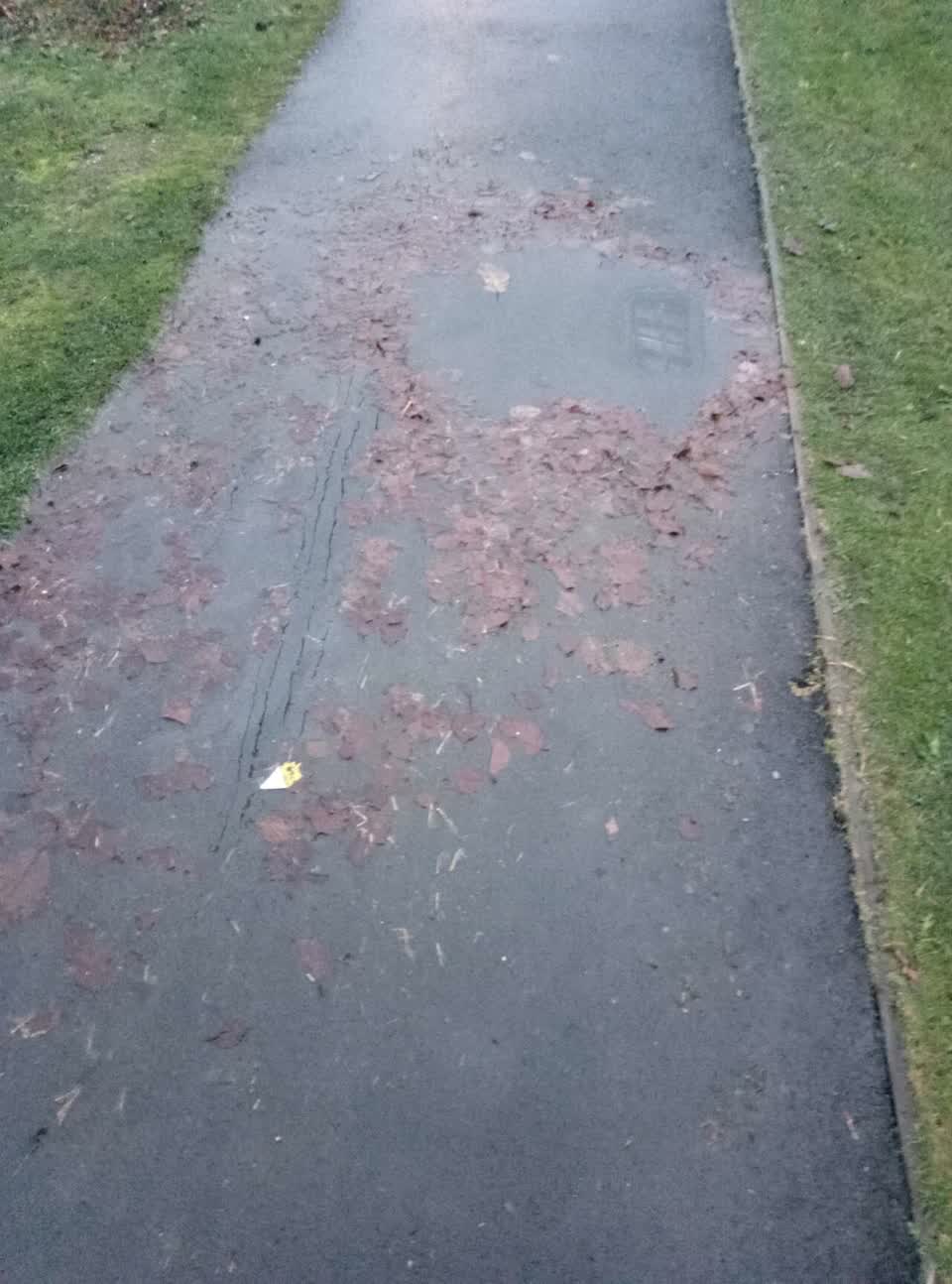 The photograph attached to this flooding report