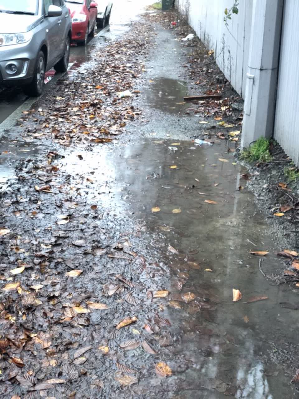 The photograph attached to this roading/streets report