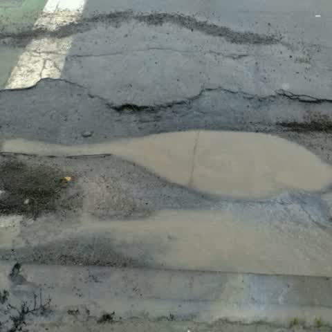 Roading/Streets, a report photo