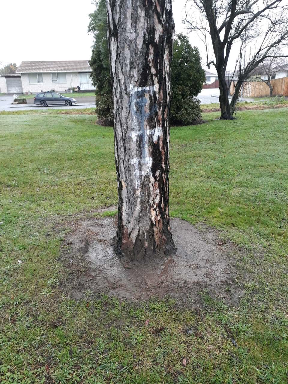 The photograph attached to this graffiti report