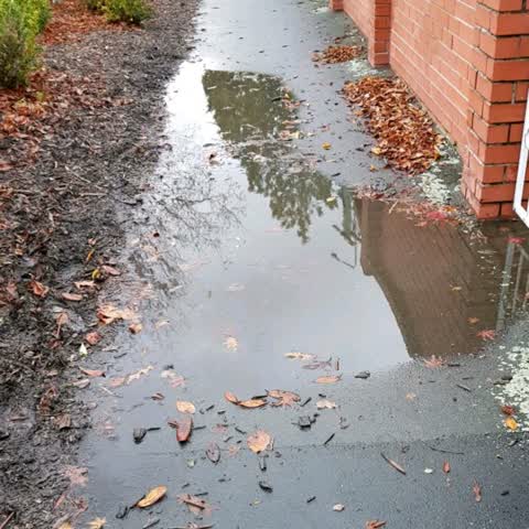 Flooding, a report photo