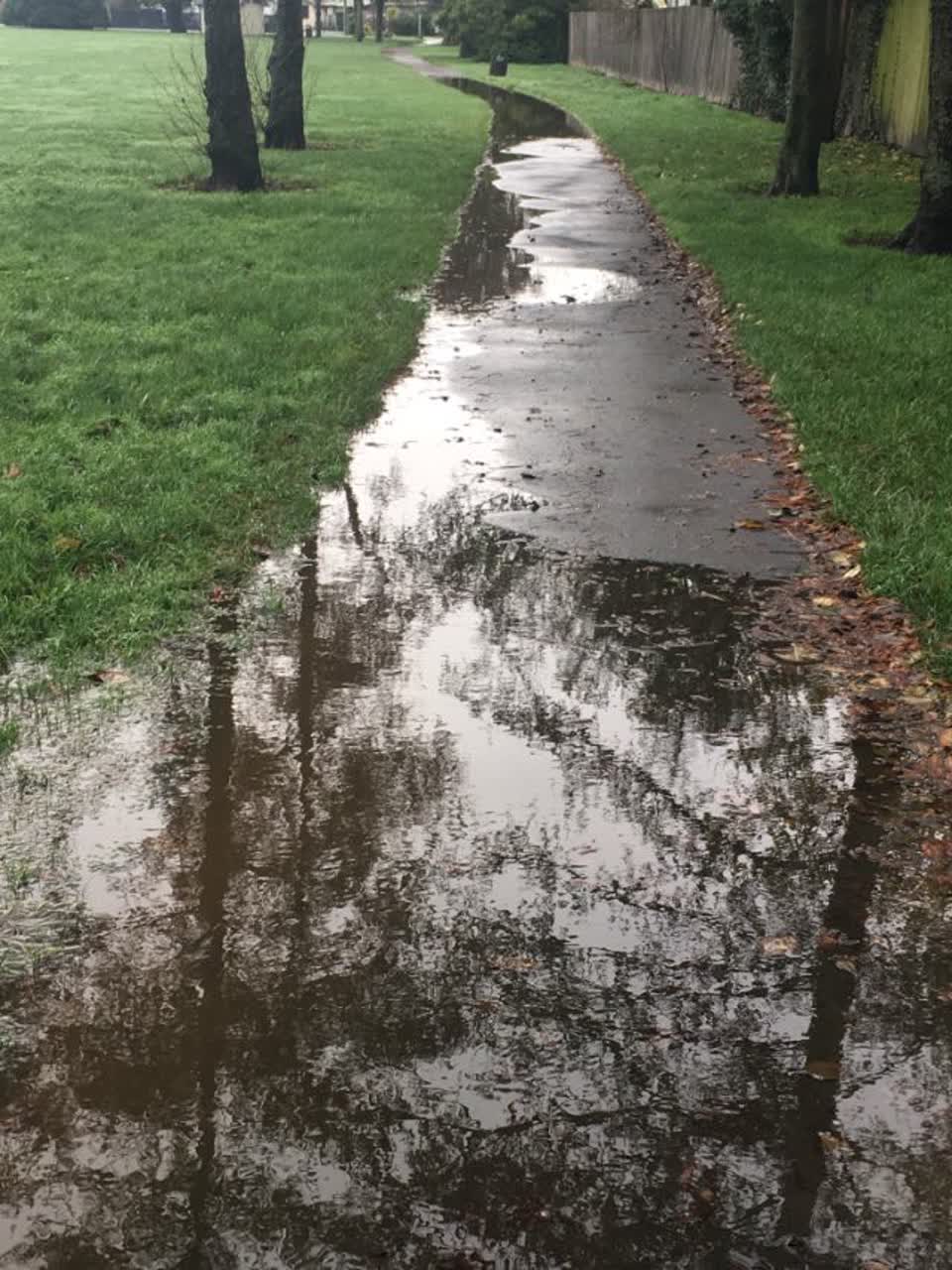 The photograph attached to this parks report