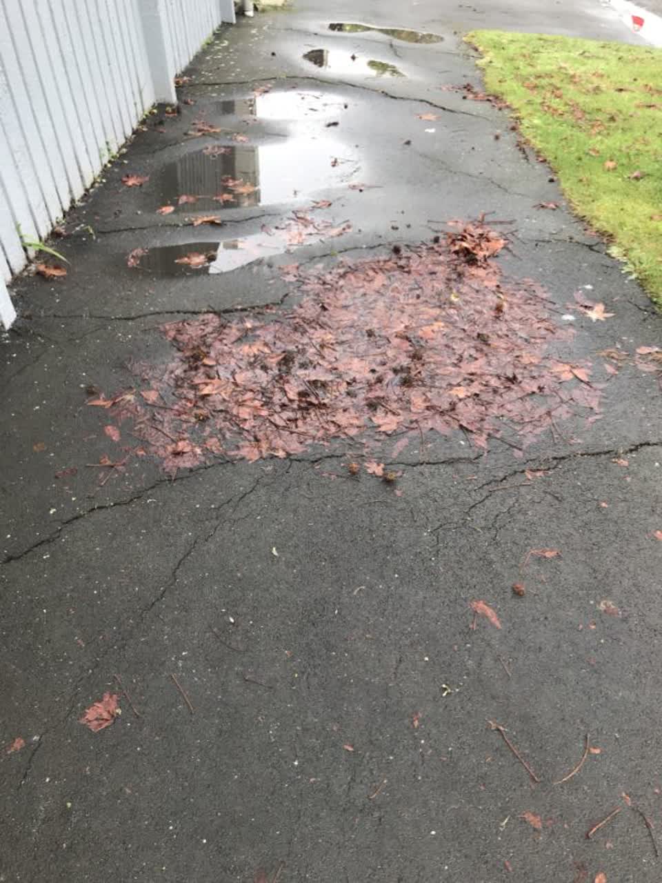 The photograph attached to this roading/streets report
