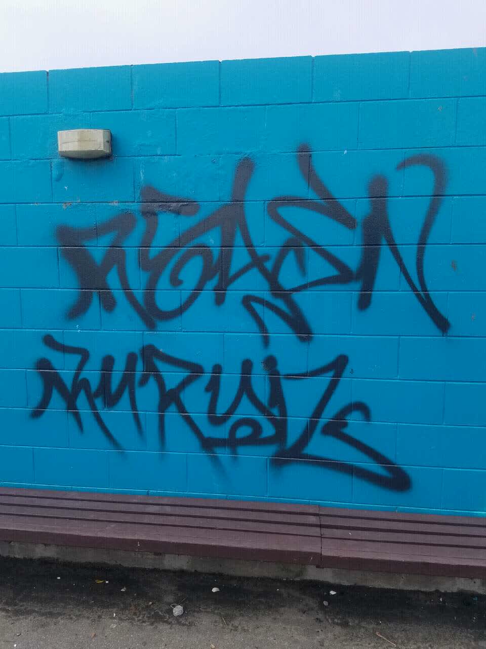 The photograph attached to this graffiti report