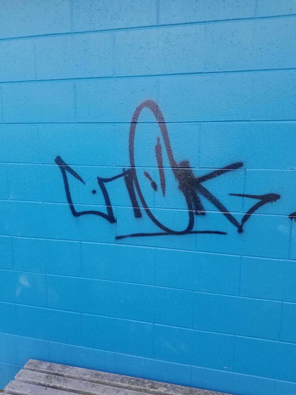 The photograph attached to this graffiti report