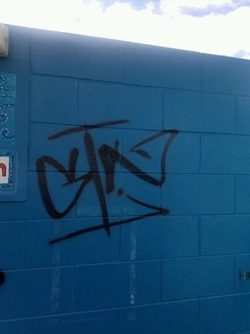 The photograph attached to this graffiti report