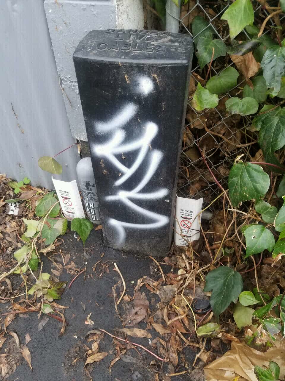 The photograph attached to this graffiti report