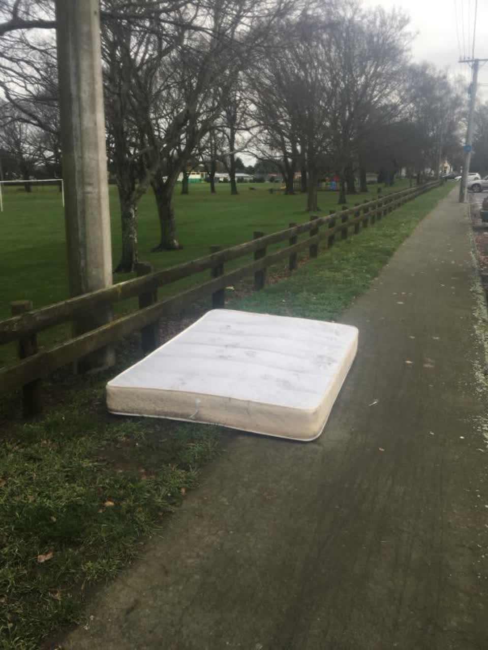 The photograph attached to this parks report