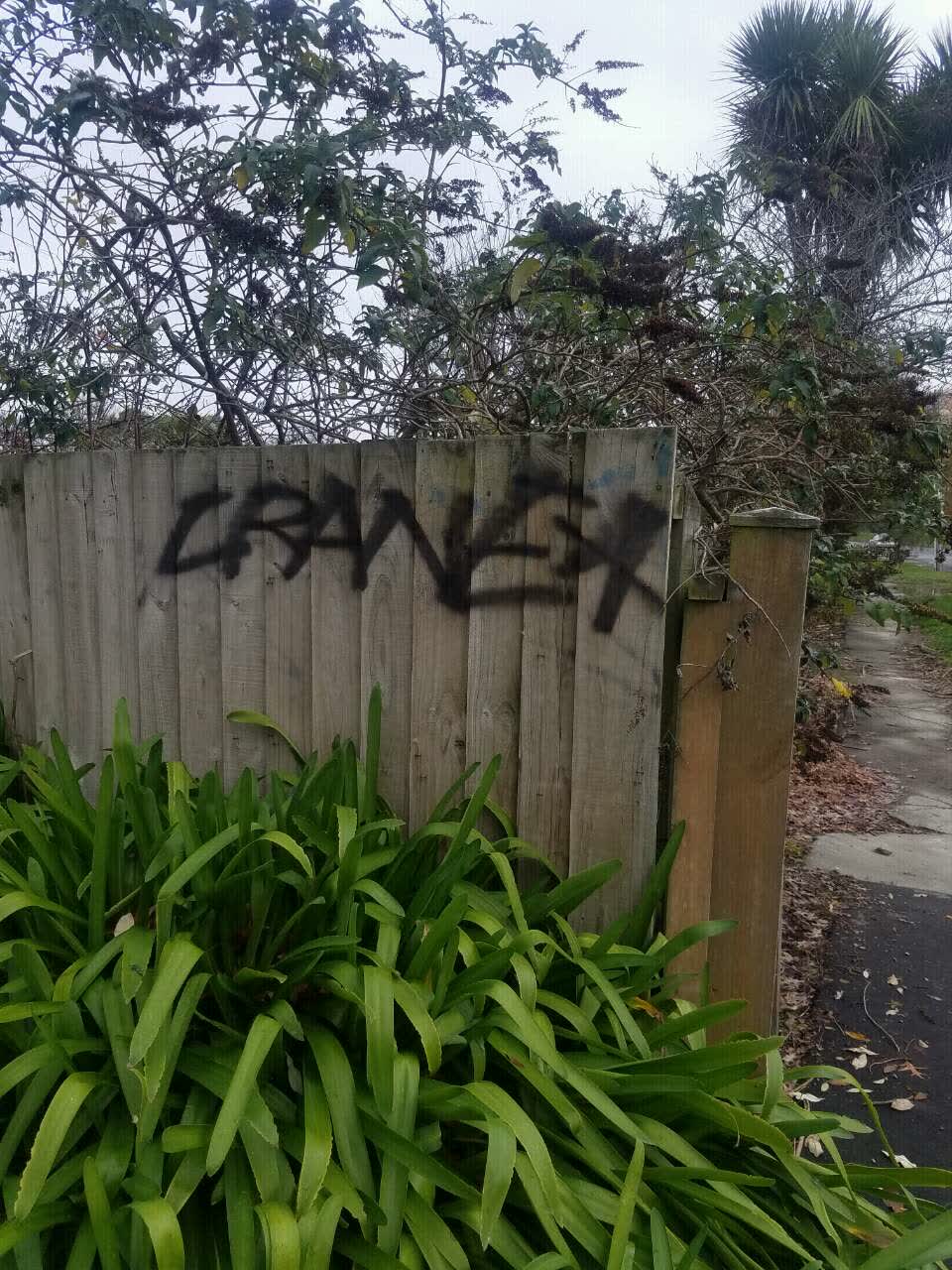The photograph attached to this graffiti report