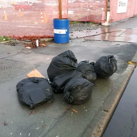 Rubbish/Recycling, a report photo