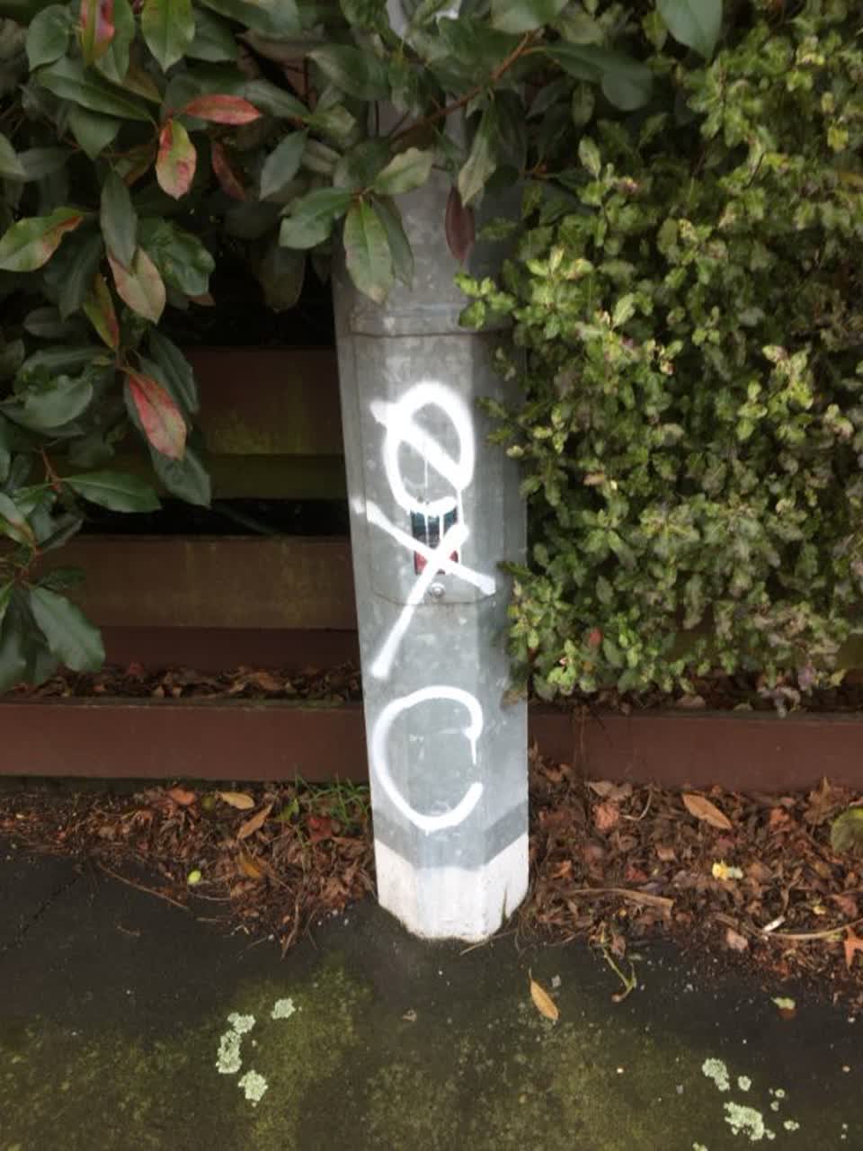 The photograph attached to this graffiti report