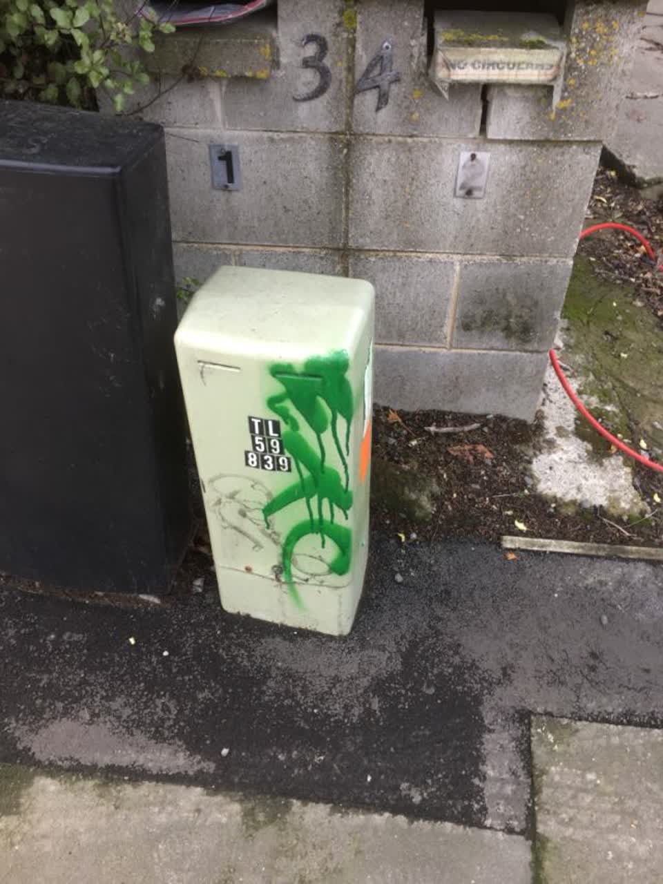 The photograph attached to this graffiti report