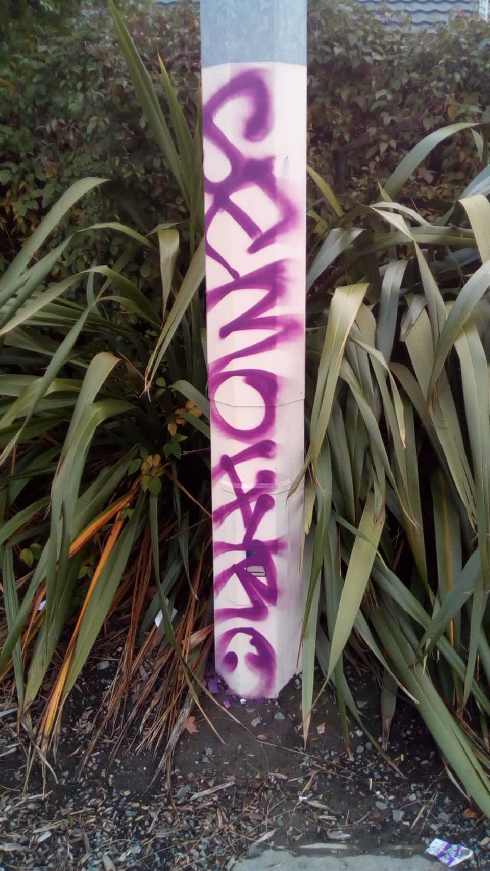 The photograph attached to this graffiti report