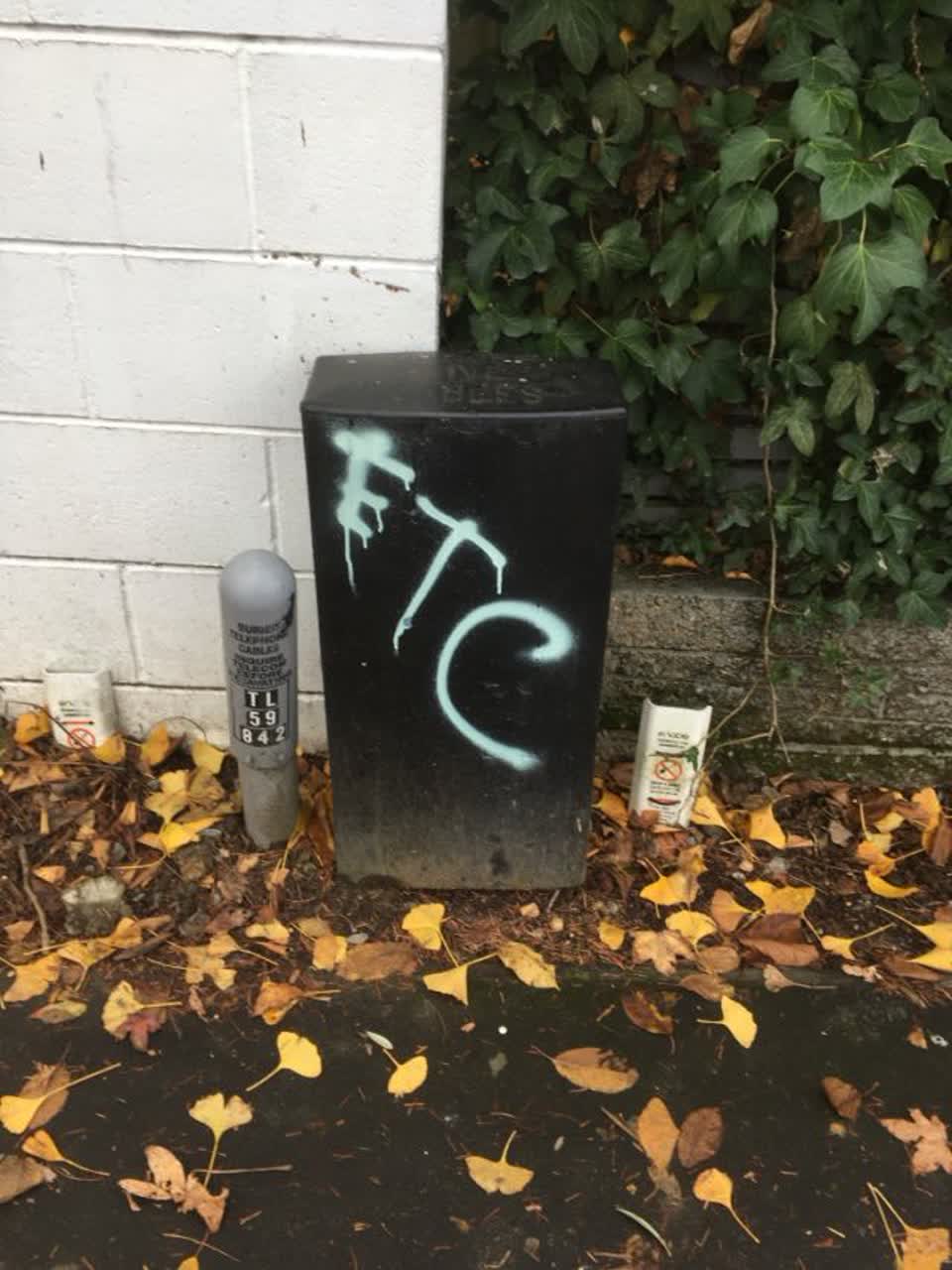 The photograph attached to this graffiti report