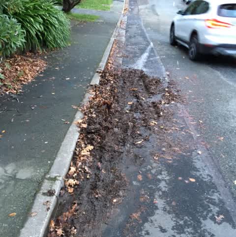 Wastewater/Stormwater, a report photo