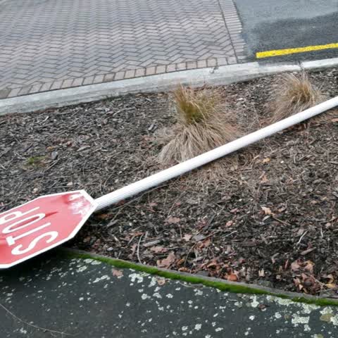 Roading/Streets, a report photo