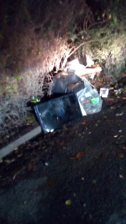 Rubbish/Recycling, a report photo