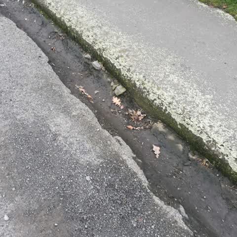 Roading/Streets, a report photo